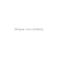 Dengue virus antibody